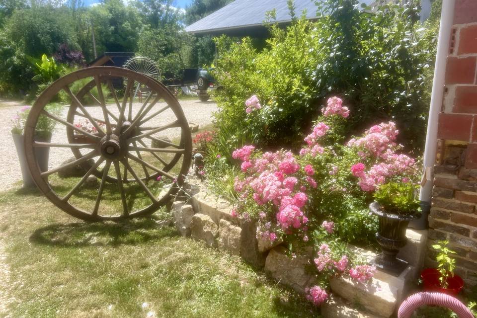 Les fleurs du jardin