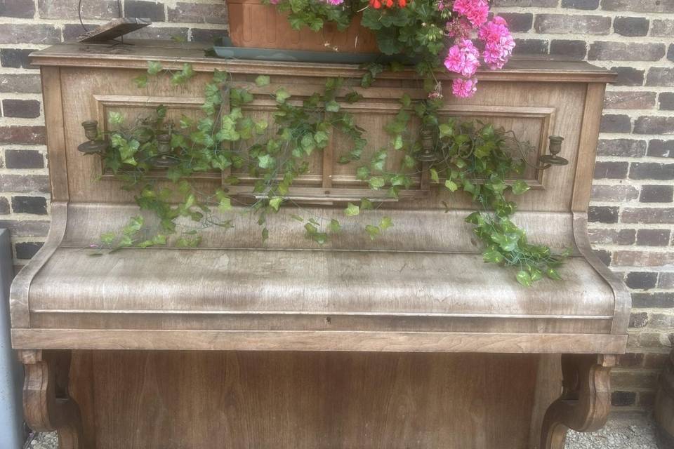 Les fleurs du jardin