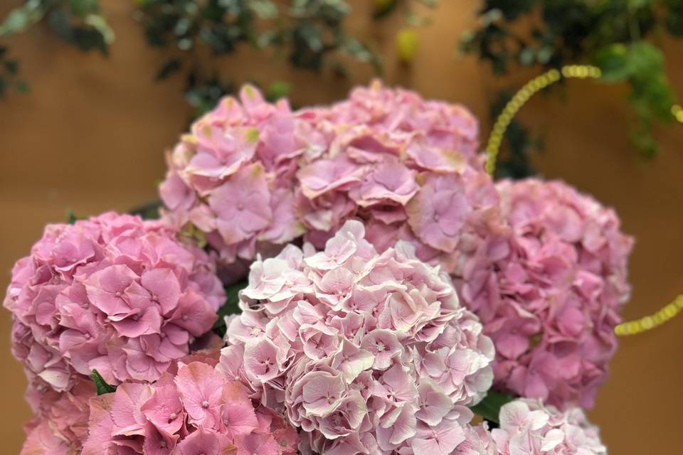 Aux Fleurs de Marie