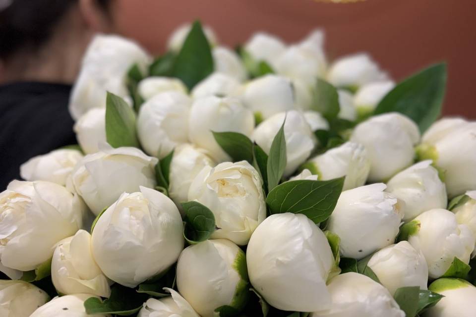 Aux Fleurs de Marie