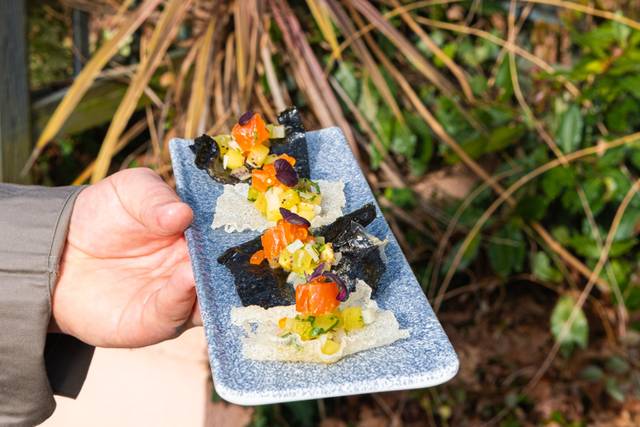 Gravlax de truite