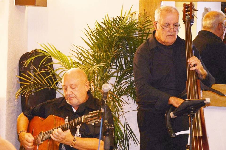 Guitares