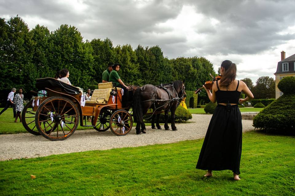 DJ Set Violoniste - Mariage