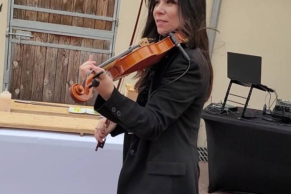 Dj Set Violoniste