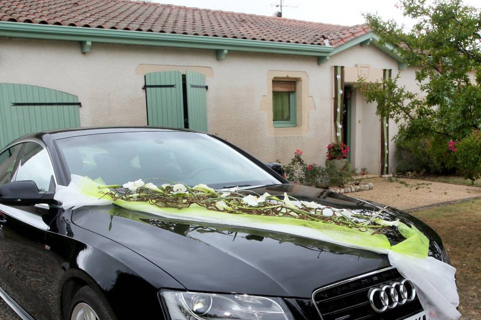 Décoration de voiture