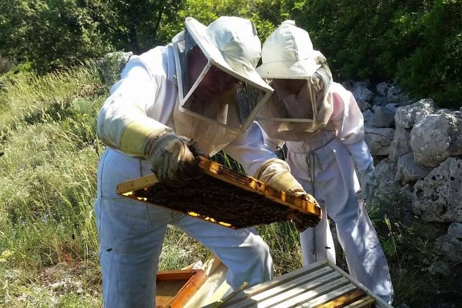 L'apiculture en famille