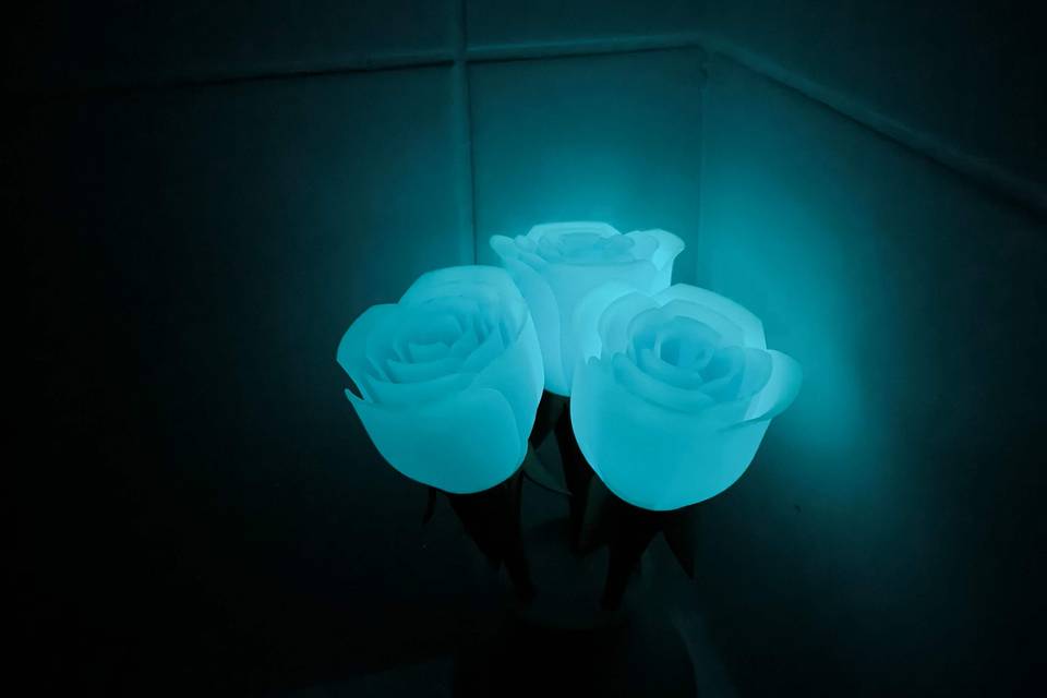 Fleurs photoluminescentes