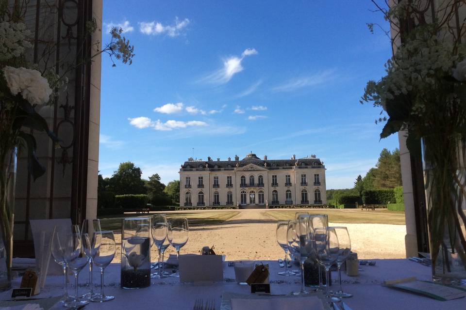 Vue sur le château