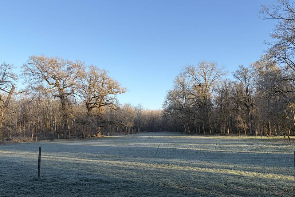 Parc du Château
