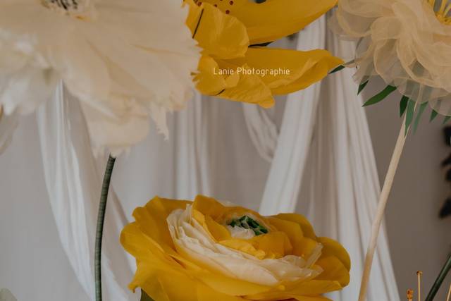 Fleurs lumière
