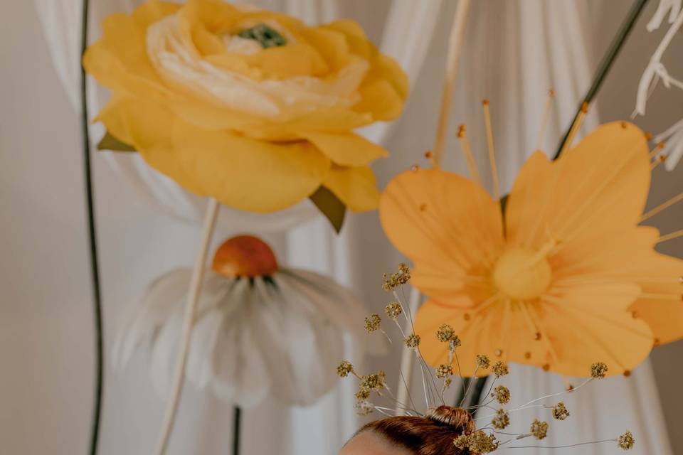 Fleurs lumière