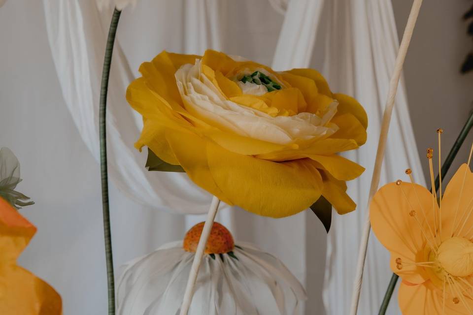 Fleurs lumière