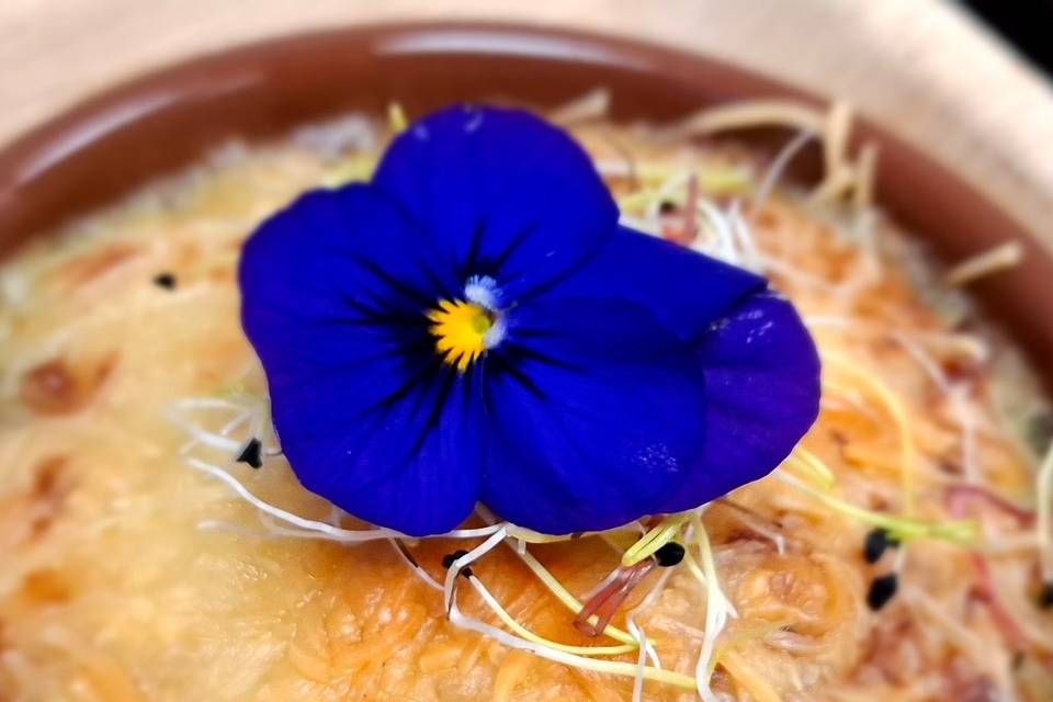 Gratin