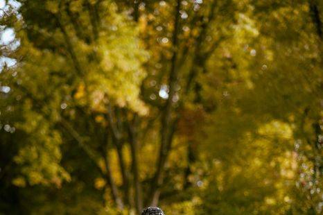 Bouquet frais automne