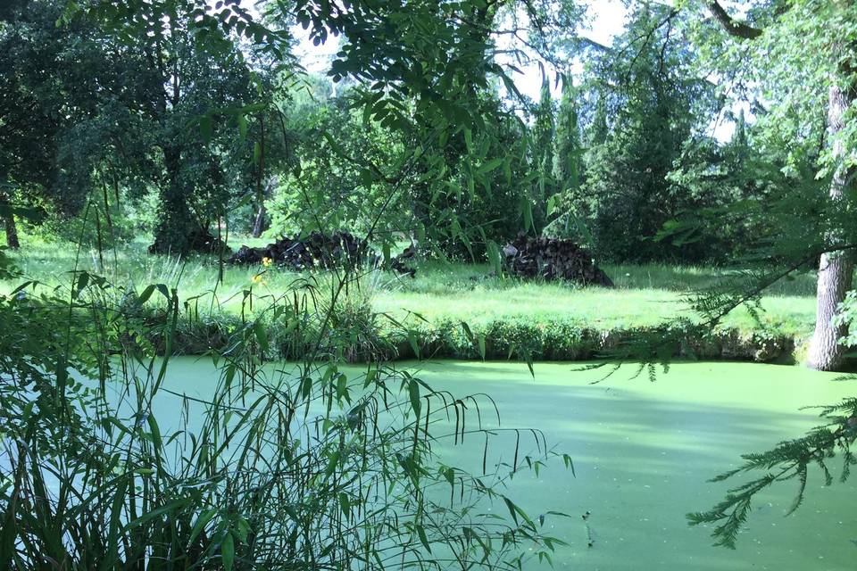 Etang