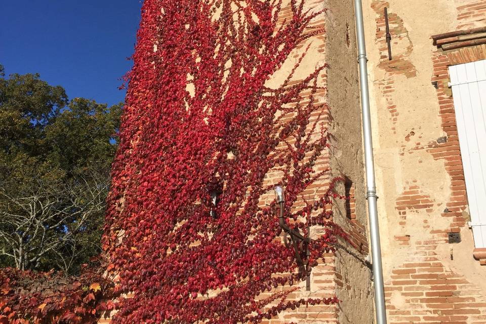 Automne