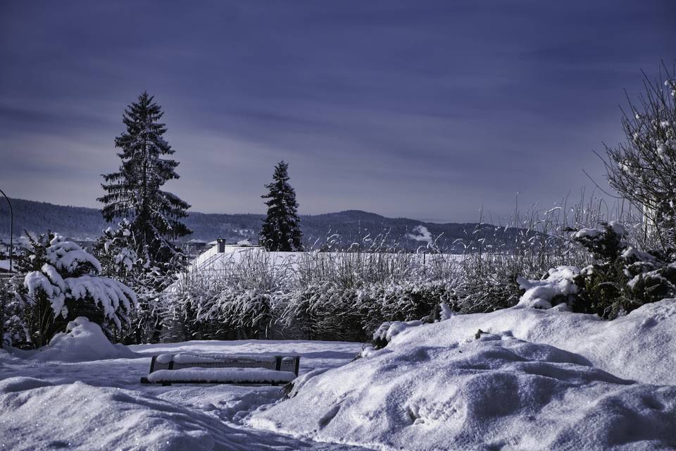 Neige