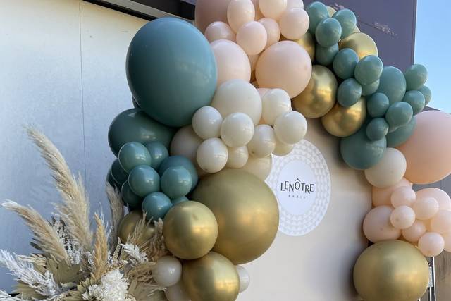 Fond Photo ballons et fleurs
