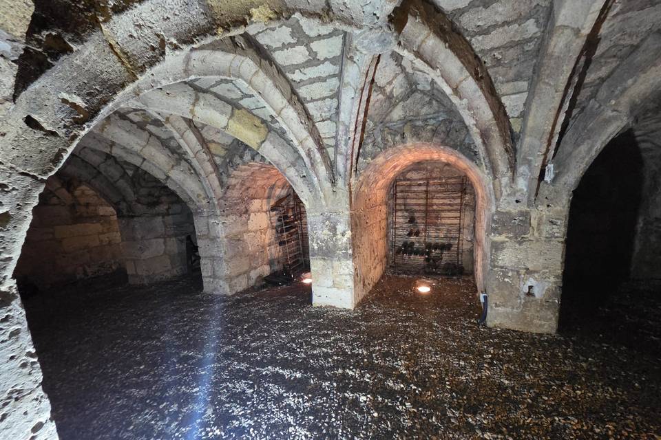 Les caves gothiques