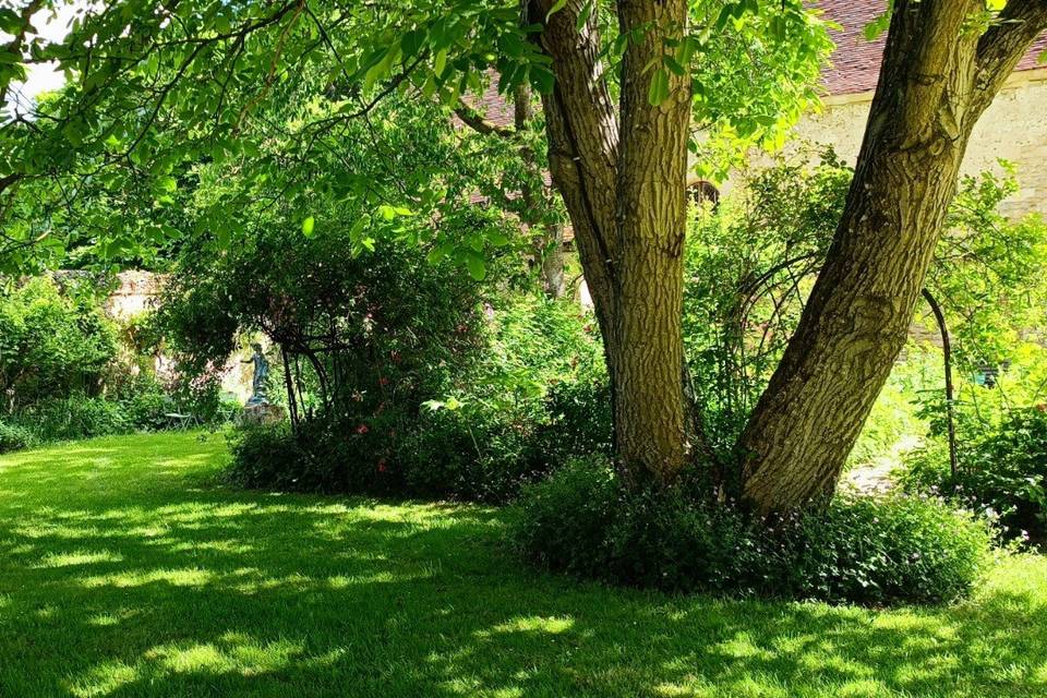 ... les espaces arborés