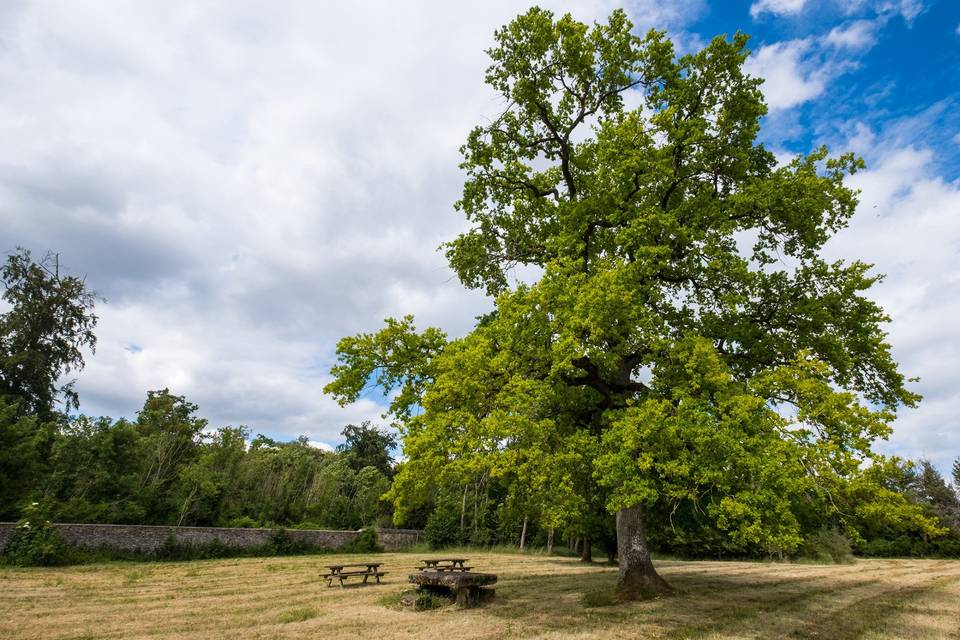 Pré au chêne