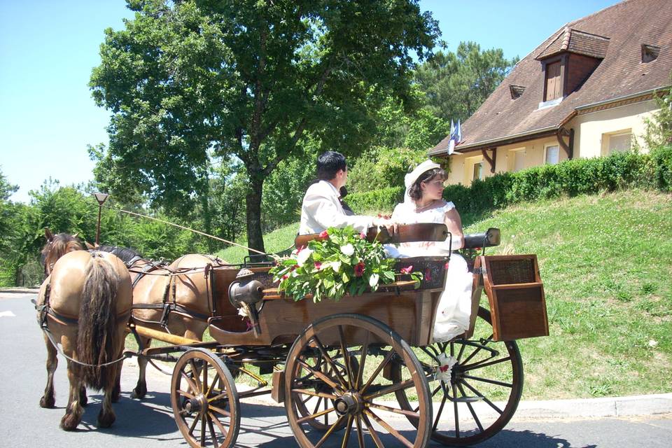 Les Calèches du Sarladais