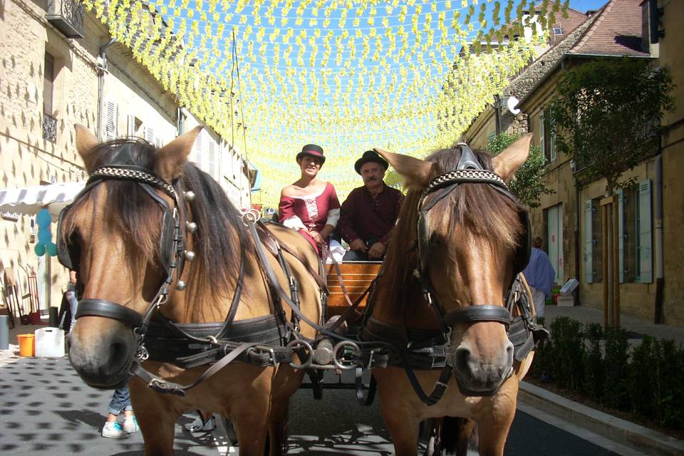 Les Calèches du Sarladais