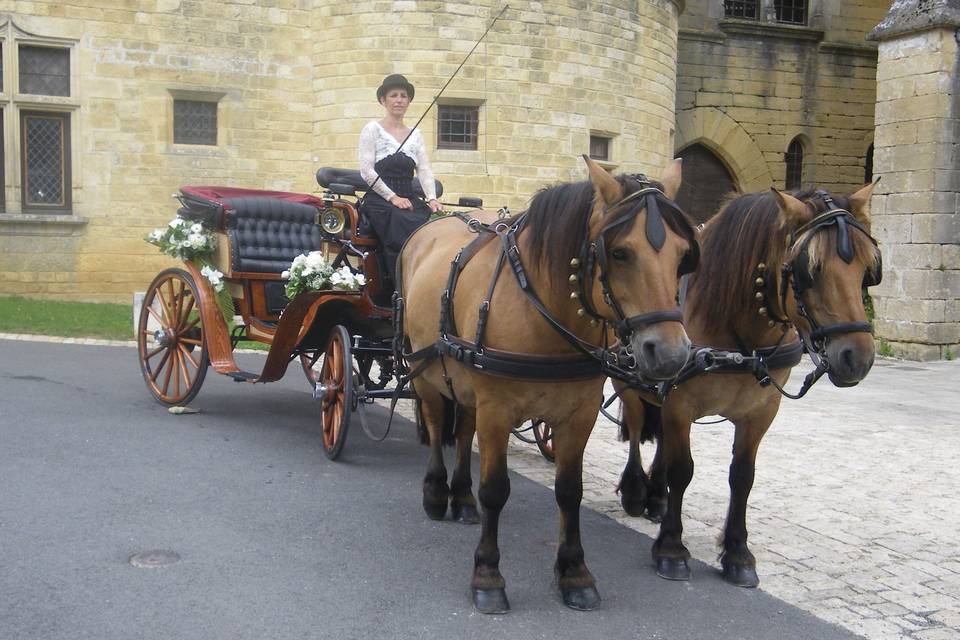 Les Calèches du Sarladais