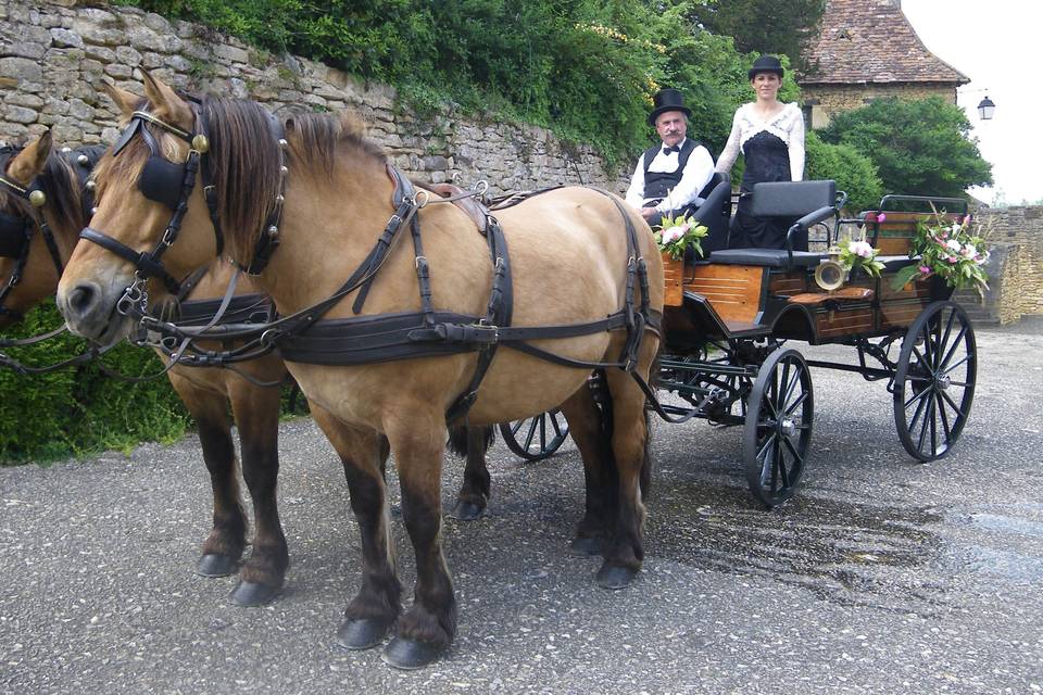 Les Calèches du Sarladais