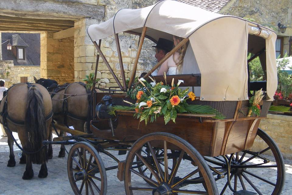 Les Calèches du Sarladais