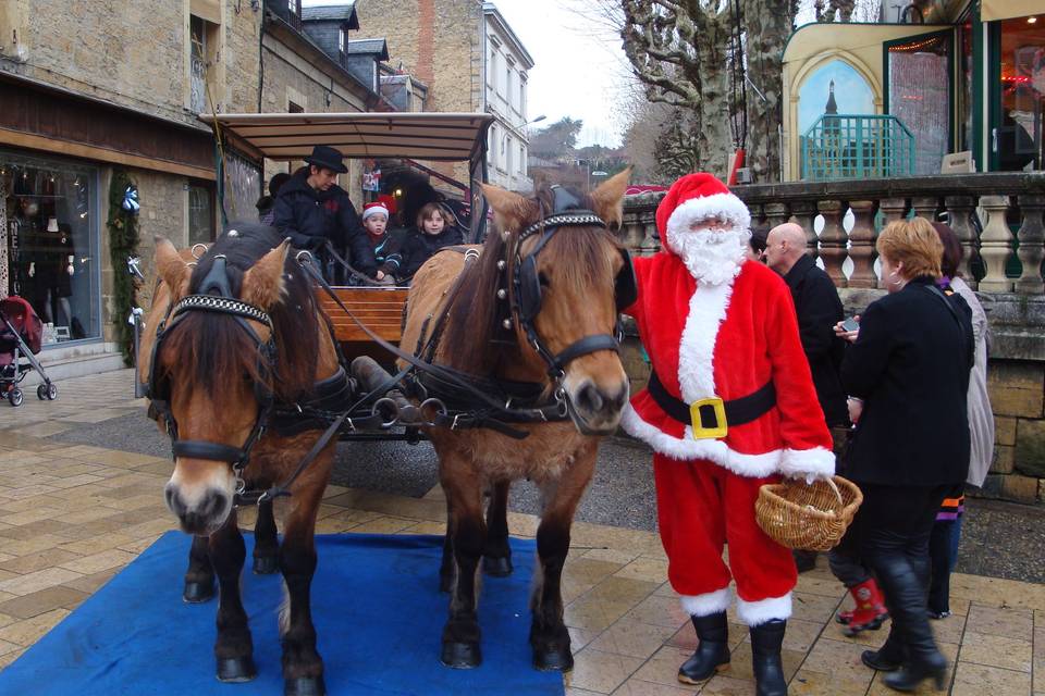 Les Calèches du Sarladais