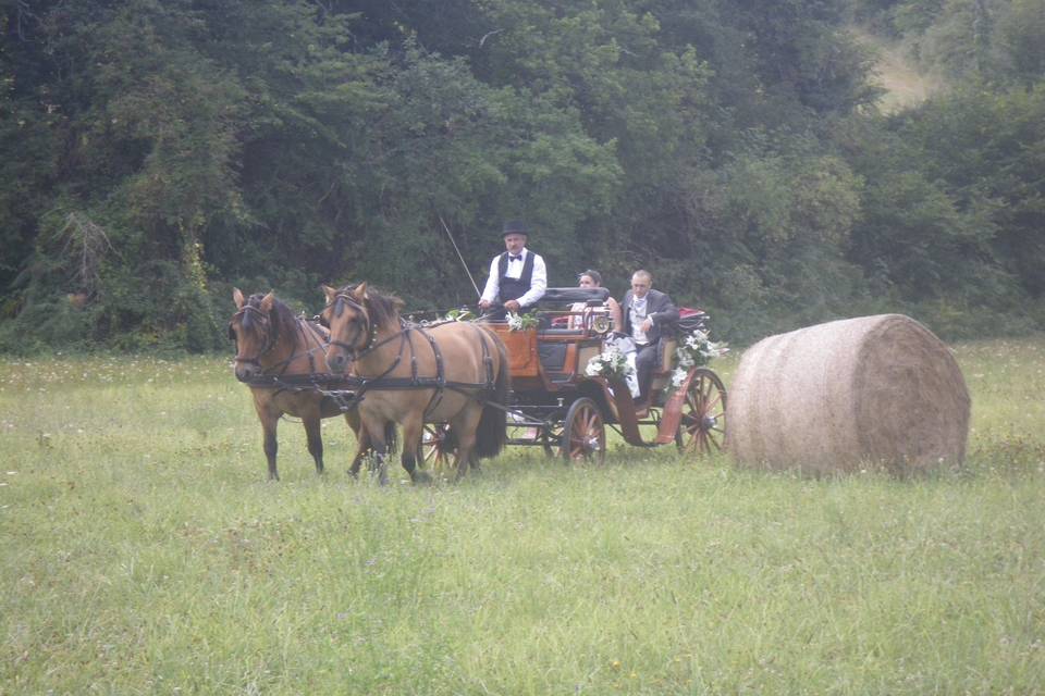 Les Calèches du Sarladais