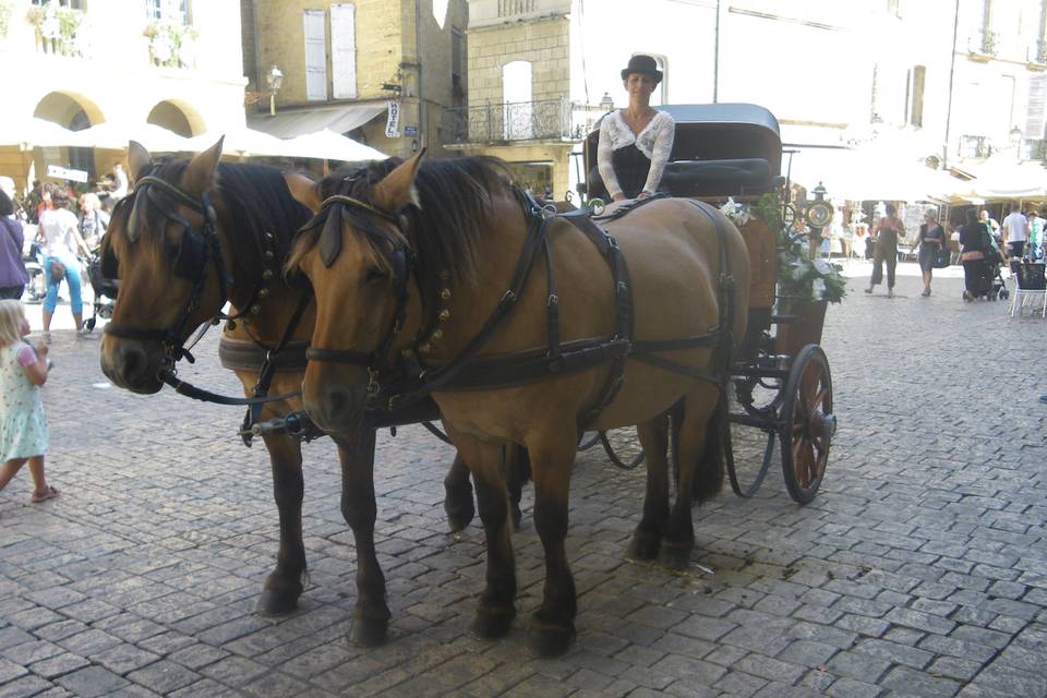 Mariage à Sarlat