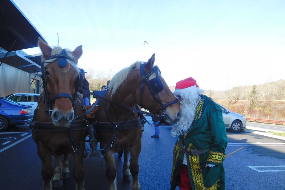 Les Calèches du Sarladais