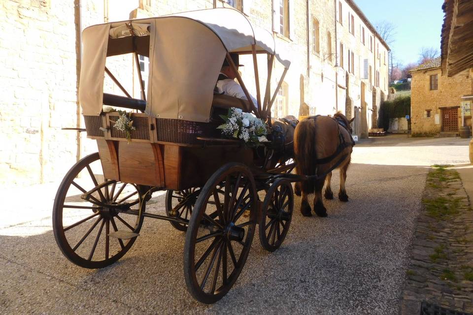 Les Calèches du Sarladais