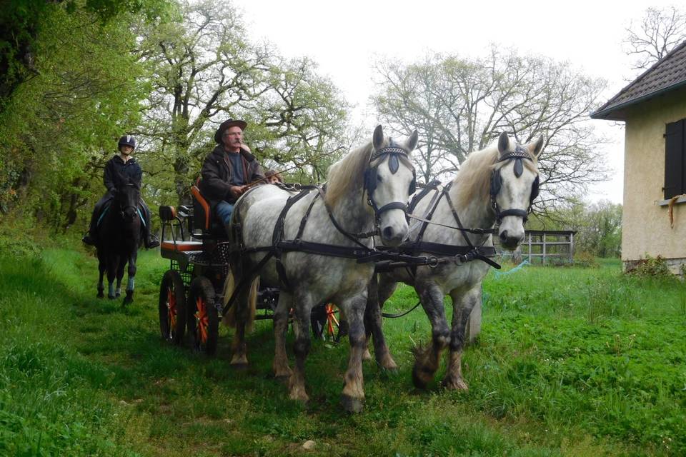 Calèche cadouin