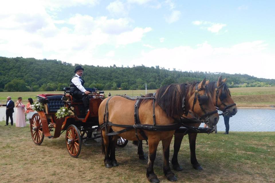 Les Calèches du Sarladais