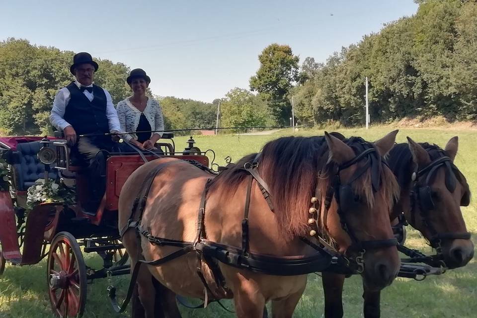 Les Calèches du Sarladais