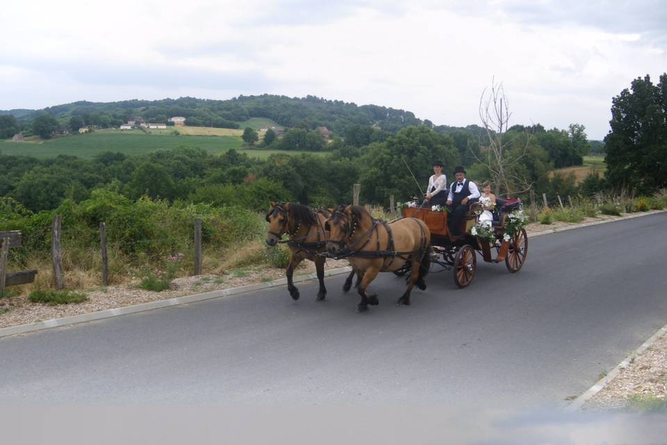 Les Calèches du Sarladais