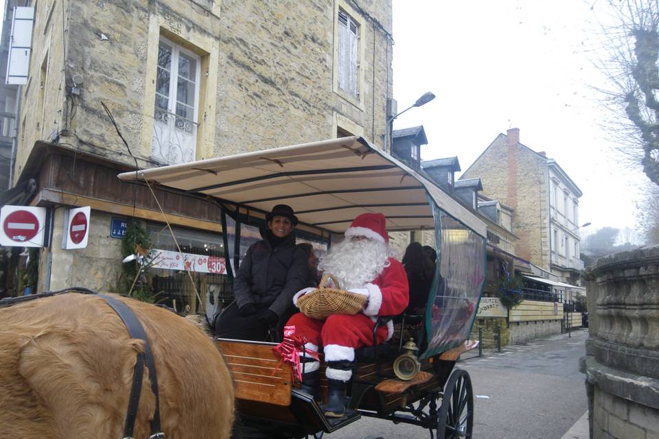 Les Calèches du Sarladais