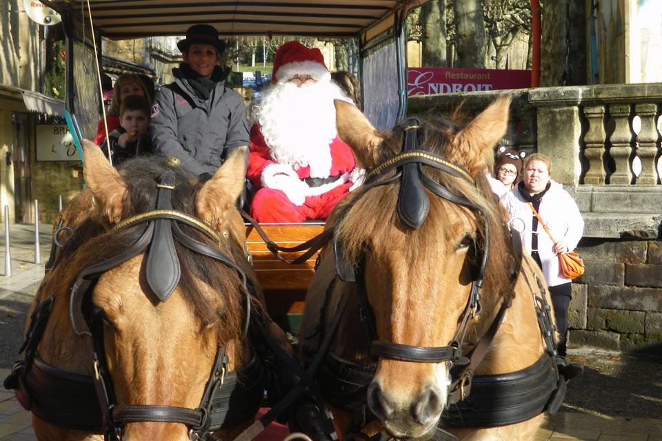 Les Calèches du Sarladais