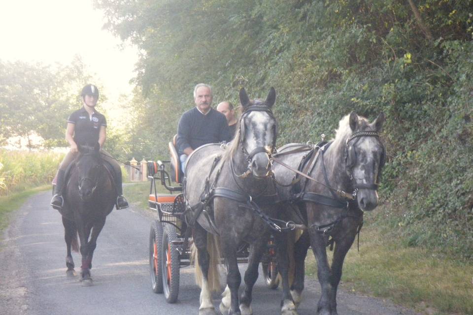 Les Calèches du Sarladais