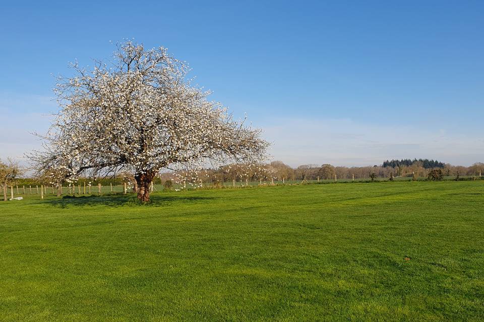 Le parc