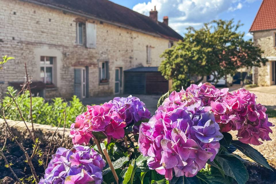 Gîte fleuri