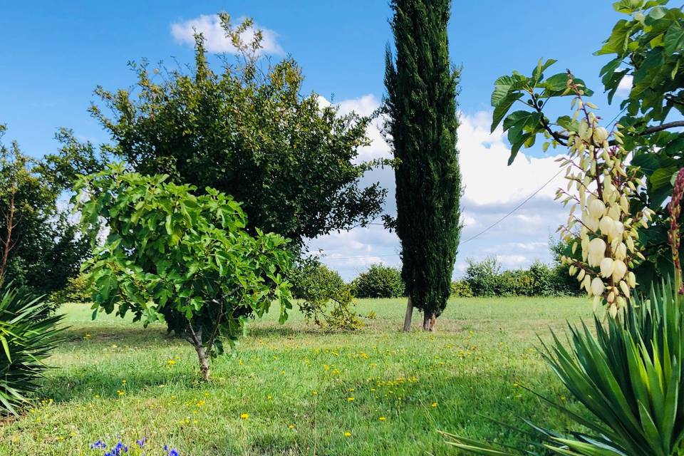 Domaine de La Ville Lesné