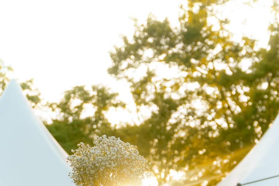 Lancé du bouquet