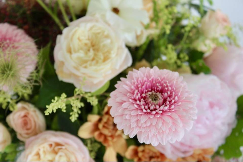 Fleurs