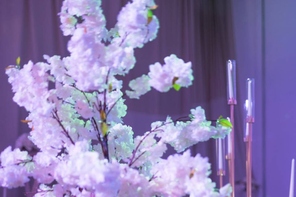 Décoration de salle