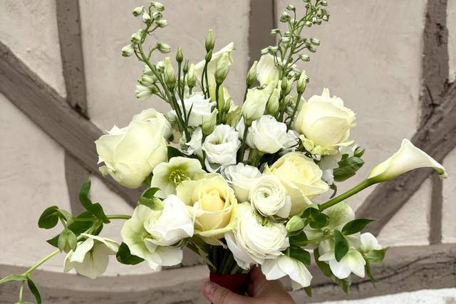 Corail Pétale