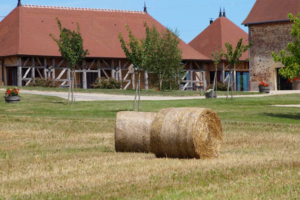 Hameau des Damayots